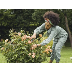 Comfort Snoeischaar - Gardena -Gardenas Winkel comfort snoeischaar gardena 3 7